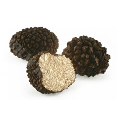 Black Truffle