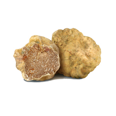 White Truffle