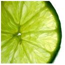 Persian Lime