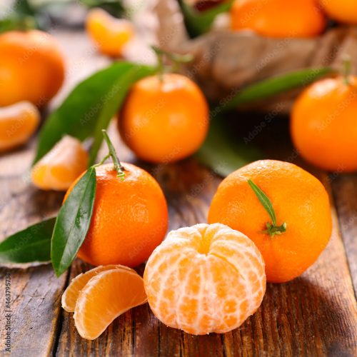 clementine,  mandarin orange fruit and leaves